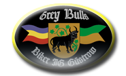 Patch der Grey Bulls